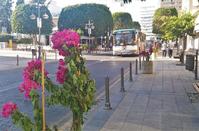 PHOTOS: Limassol's most typical street is now even more beautiful!