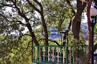 The 'tree house' at a hotel on Troodos that brings a bit of fairy tale to life!