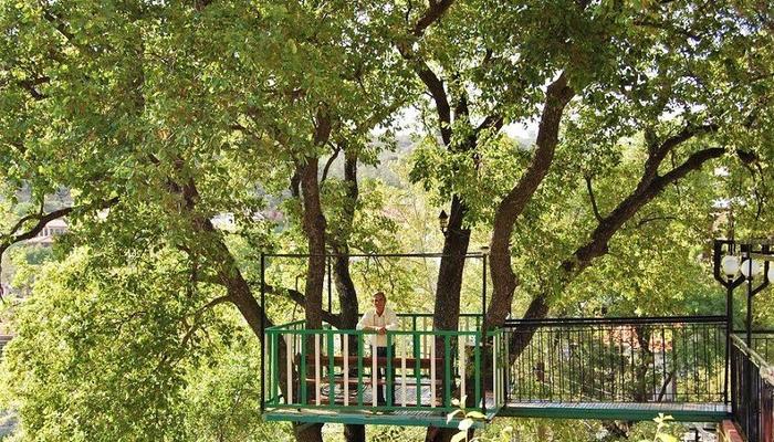 The 'tree house' at a hotel on Troodos that brings a bit of fairy tale to life!