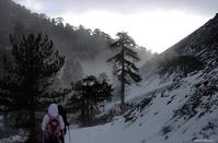 Adventurous hiking in the frozen forest of Troodos!