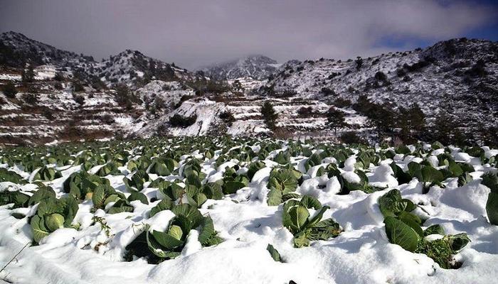 Villages, hills and vineyards in Limassol covered in fluffy snow