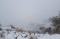 Villages, hills and vineyards in Limassol covered in fluffy snow
