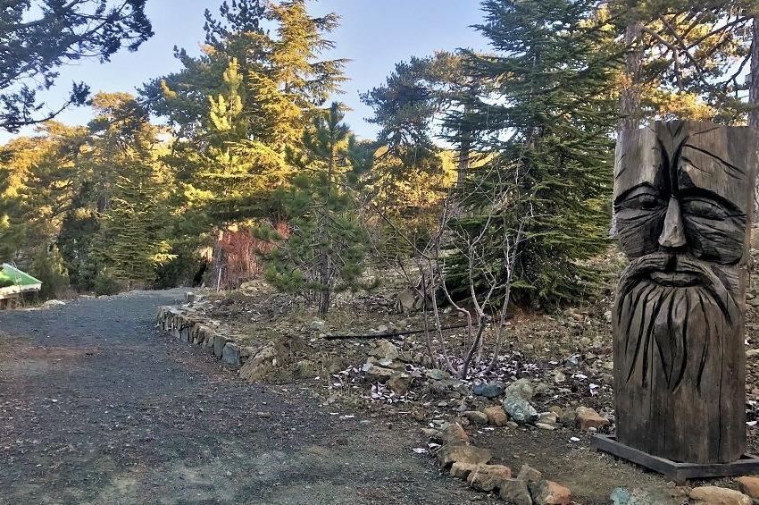 PHOTOS: A trail in Troodos mountains, with wonderful surprises!