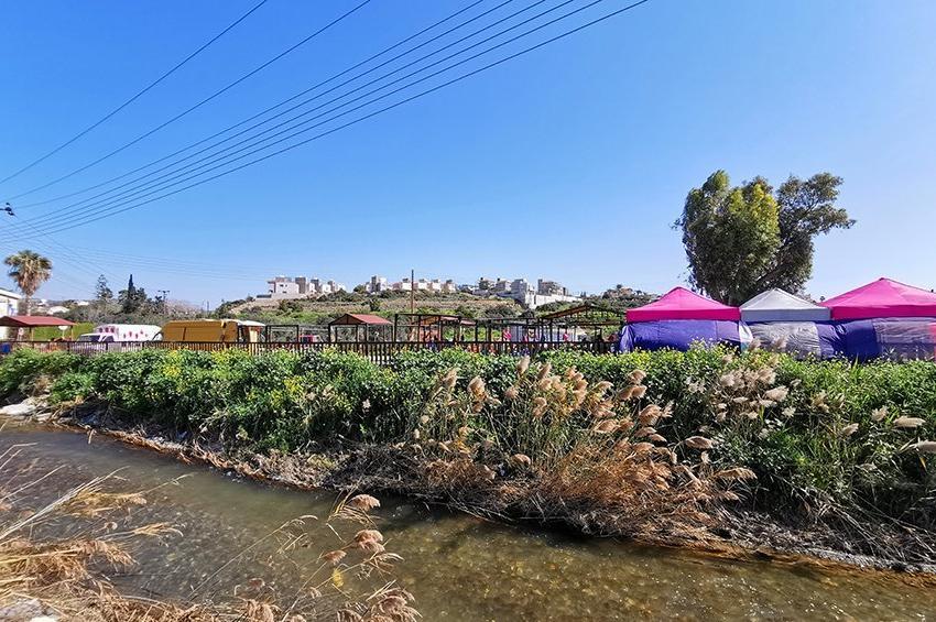 PHOTOS: An open-air market in Limassol, that honors the Cypriot land!