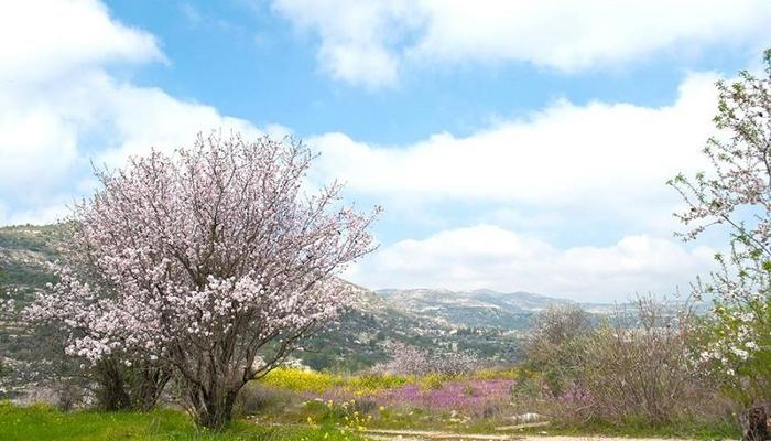 PHOTOS: Limassol welcomes Spring