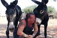 Become the foster parent of a cute donkey with just 24 euros a year!