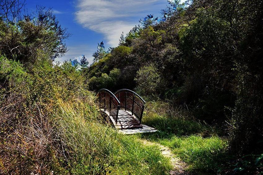 PHOTOS: A trail in Limassol, for relaxing strolls in the countryside!