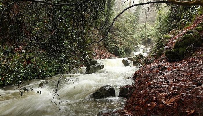 VIDEO: Rumbling rivers on Troodos with water coming down!