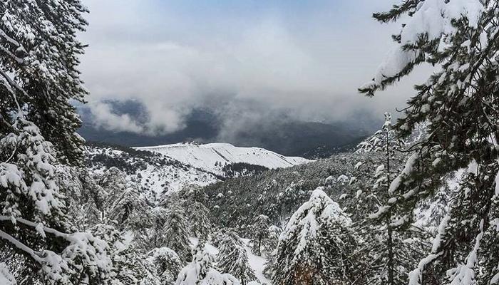 What is this mysterious silence on the snowy Troodos, after all?