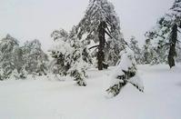 What is this mysterious silence on the snowy Troodos, after all?