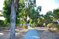 Sun(ny)days in Limassol and the absolute challenge for city walks