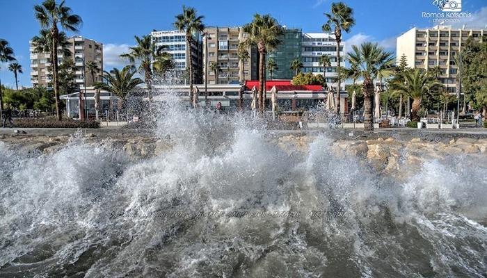 PHOTOS: The winter wilderness makes Limassol even more beautiful!