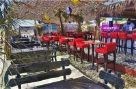 OPENING: This new beach bar in Limassol is shaking things up!