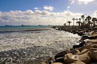 PHOTOS: The winter wilderness makes Limassol even more beautiful!