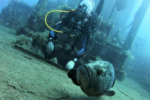 Scuba diving in the Limassol Marine Park