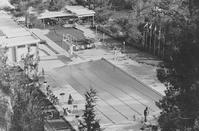 The pool during the 1960s (source: αρχείο Φώτη Κολακίδη)