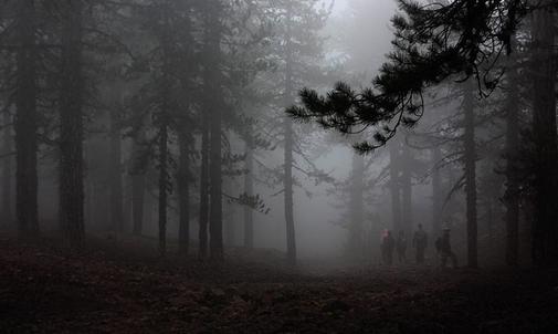 PHOTOS: The 'haunted' Troodos forest, a destination for the adventurous ones!