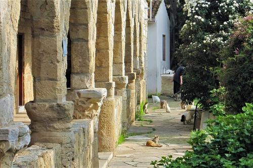 The Holy Monastery of Saint Nicholas of the Cats (Akrotiri)