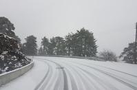 PHOTOS: First snowfall on Troodos mountains is a fact!