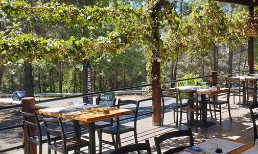 Makris Restaurant: A space that has evolved into a beloved countryside dining destination!