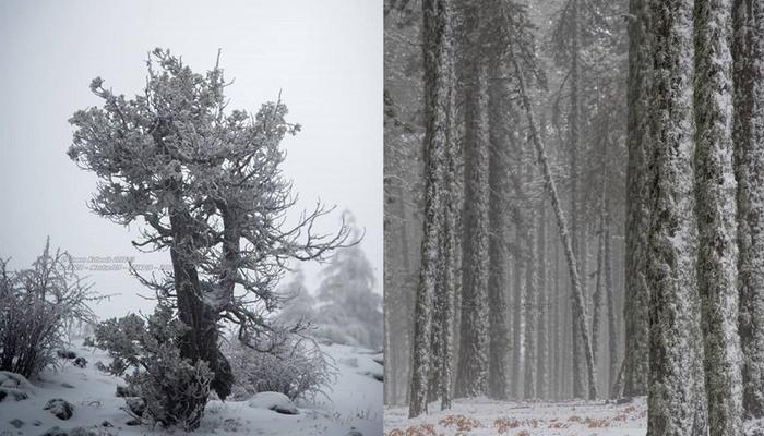 VIDEO: Snow won’t stop falling on Troodos! Can you resist this trip?