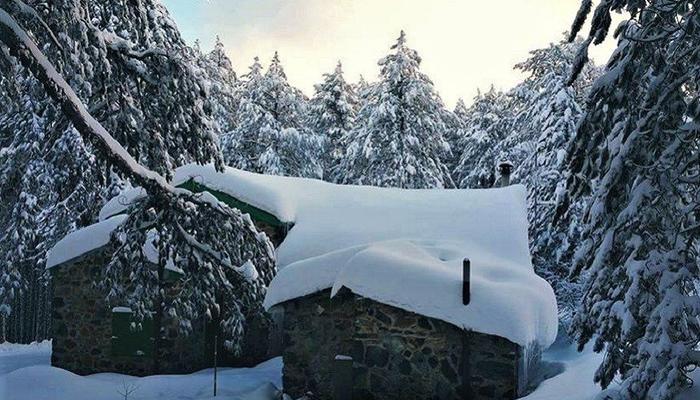 Pictures out of a fairy tale of the Troodos forest lost... in the snow!