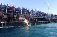 PHOTOS: Photographer went over board to capture the Epiphany ceremony in Limassol!