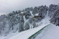 Pictures out of a fairy tale of the Troodos forest lost... in the snow!