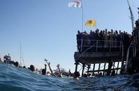 PHOTOS: Photographer went over board to capture the Epiphany ceremony in Limassol!