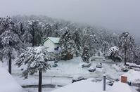 Pictures out of a fairy tale of the Troodos forest lost... in the snow!