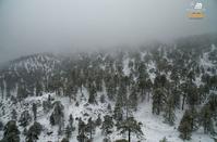 VIDEO: Snow won’t stop falling on Troodos! Can you resist this trip?