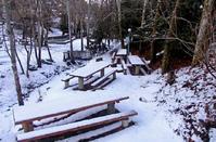 Pictures out of a fairy tale of the Troodos forest lost... in the snow!