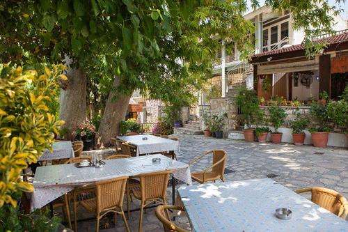 Platanos Tavern: Homemade food, under the greenery!