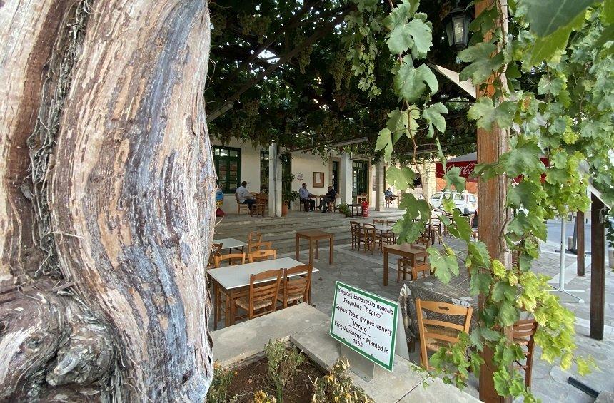 Agora Tavern: Traditional cuisine in the heart of a picturesque village!