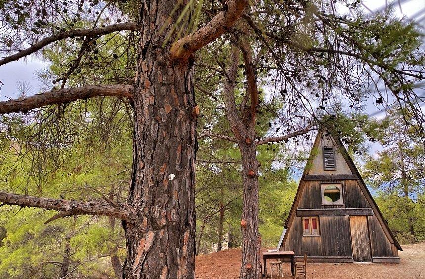 The triangular little house hidden in the forest of the Limassol mountains!