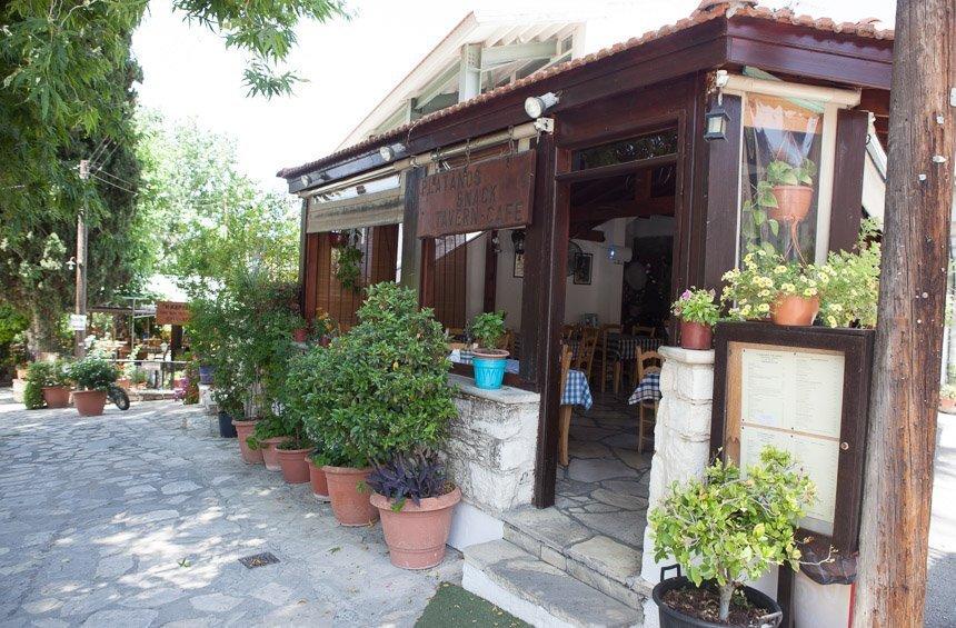 Platanos Tavern: Homemade food at the entrance of Lania village, beneath the greenery!