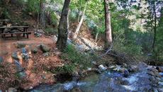 Arkolachania Picnic Site (Mesa Potamos)