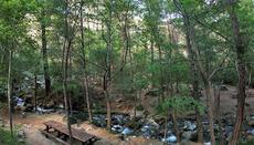 Arkolachania Picnic Site (Mesa Potamos)