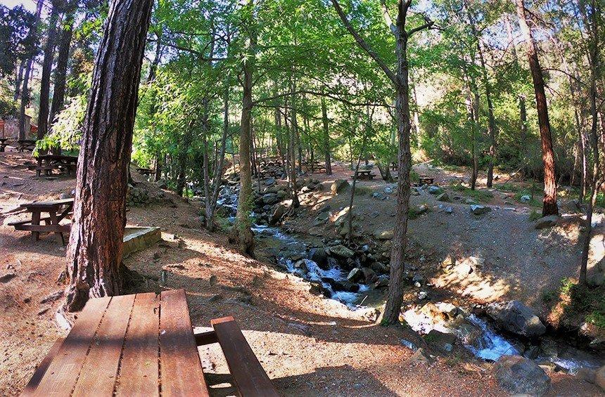 Arkolachania Picnic Site (Mesa Potamos)