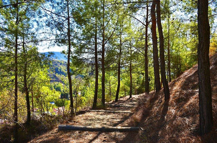 'Kastrovouno' Nature Trail (Kato Platres)