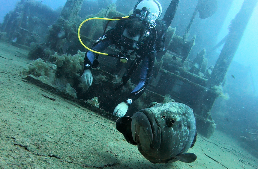 Scuba diving in the Limassol Marine Park