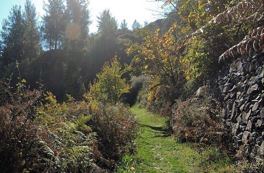 'Venetian Bridges' Nature Trails (Treis Elies)