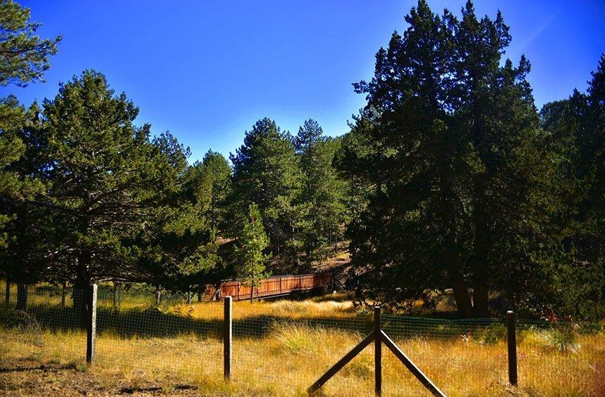 Almirolivado picnic site (Troodos)