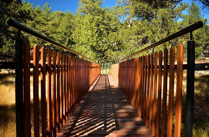 Almirolivado picnic site (Troodos)