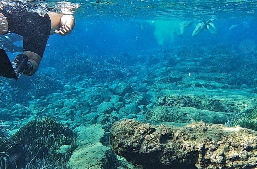 Sea exploration in the sunken harbor of Amathounta!