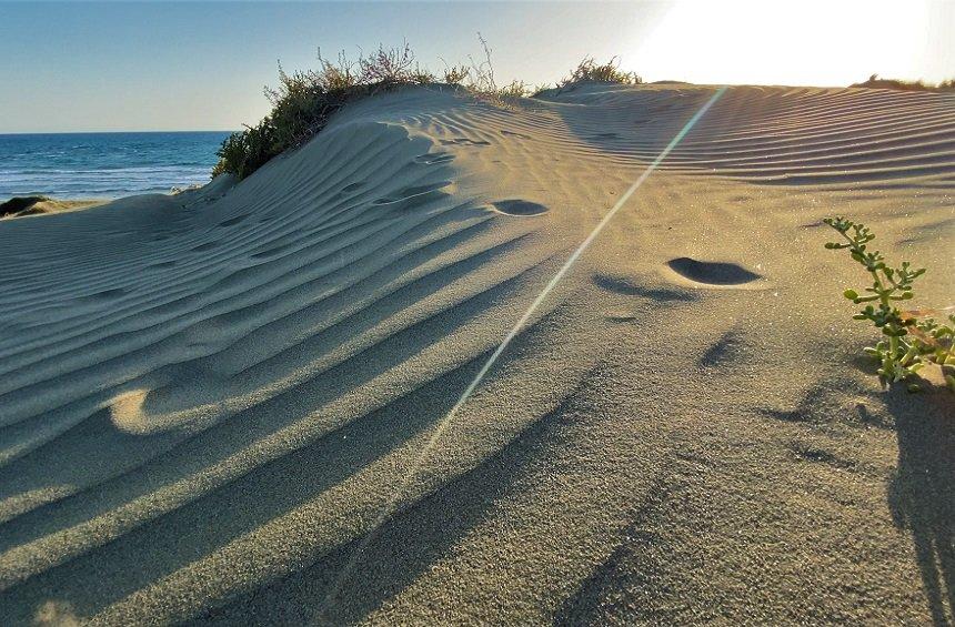 The sand hills of the Limassol 'desert'!