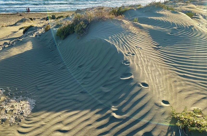 The sand hills of the Limassol 'desert'!