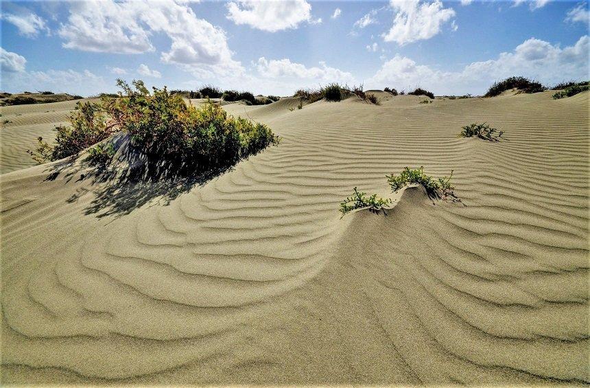 The sand hills of the Limassol 'desert'!