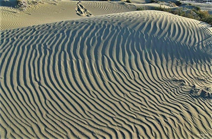 The sand hills of the Limassol 'desert'!