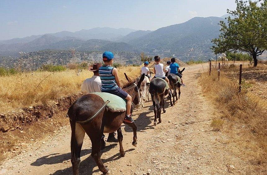 Apesia Hills Donkey Farm